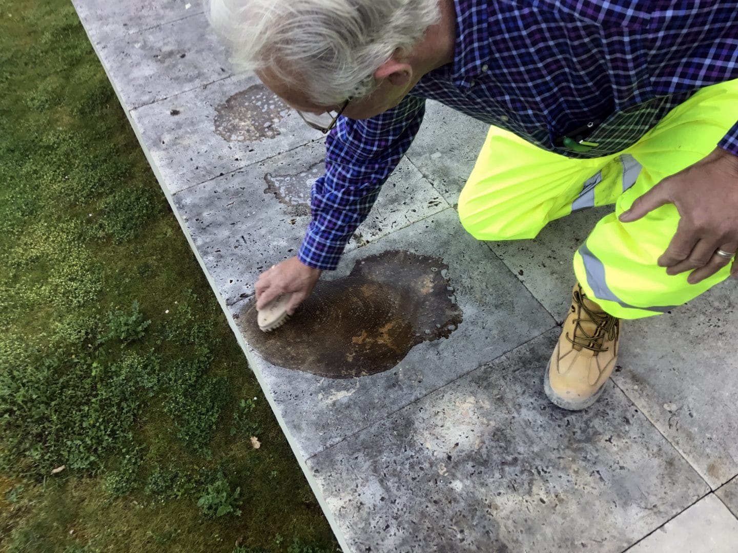 removing-algae-from-your-patio-path-or-paving-promain-resource-centre