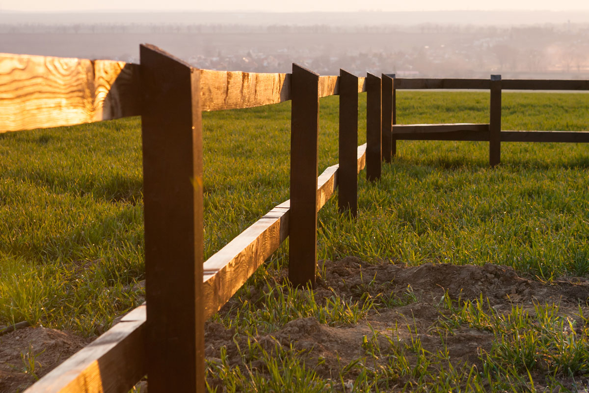 Creosote restrictions UK: What the new rules mean for timber treatment