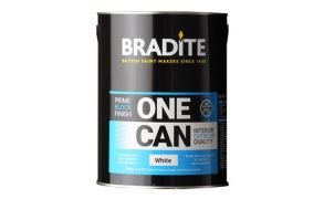 Bradite One Can Prime - Block & Finish OC63 / OC64