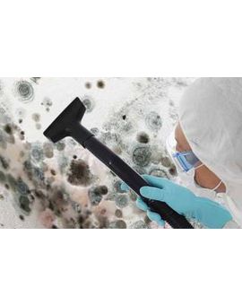 Glixtone Fungi-Shield Sterilising Solution Concentrate